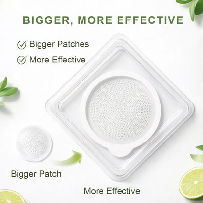 FDA Registered & GMP Certified InsLemon® Moringa × Berberine × AMPK 10-in-1 Metabolic Support Nano Microneedle Patch  (Just once a day, visible changes in 7 days)